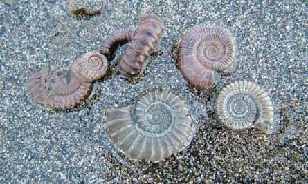 Top 10 family days out in south and west Dorset