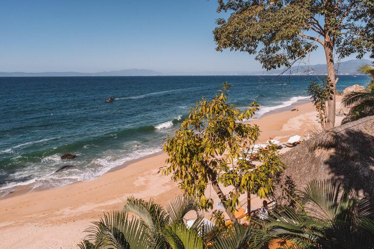 Puerto Vallarta: Yoga, Beach & Swimming with Wild Dolphins on the Pacific Coast of Mexico